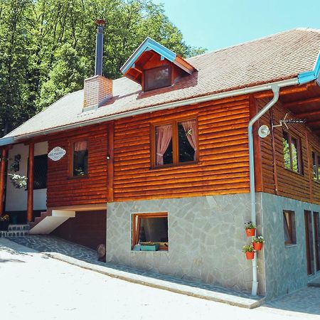 Vila Etno Domacinstvo Milenkovic Despotovac Exteriér fotografie