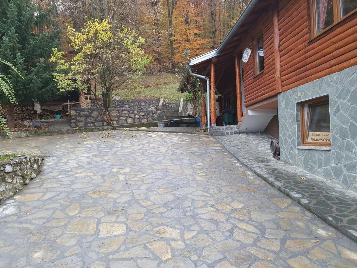 Vila Etno Domacinstvo Milenkovic Despotovac Exteriér fotografie