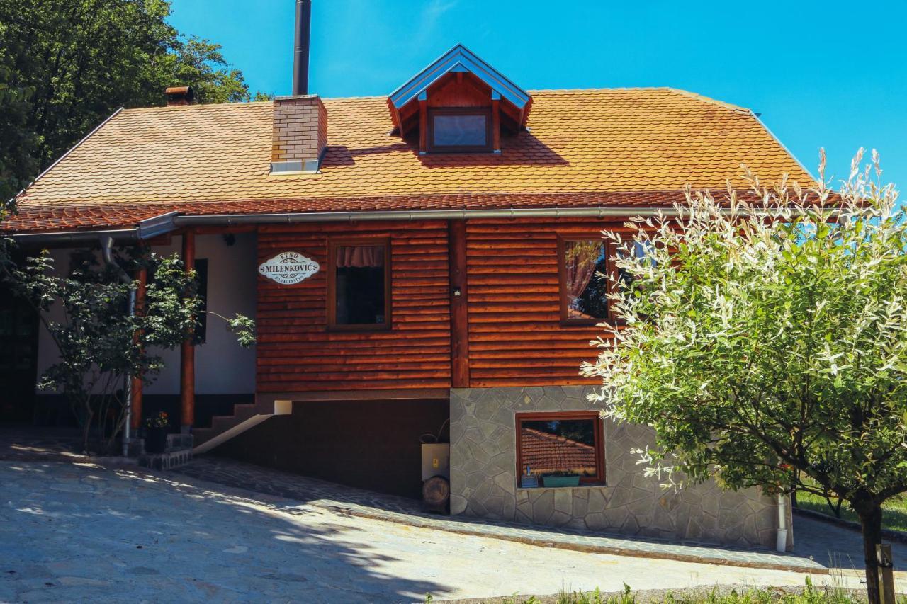 Vila Etno Domacinstvo Milenkovic Despotovac Exteriér fotografie