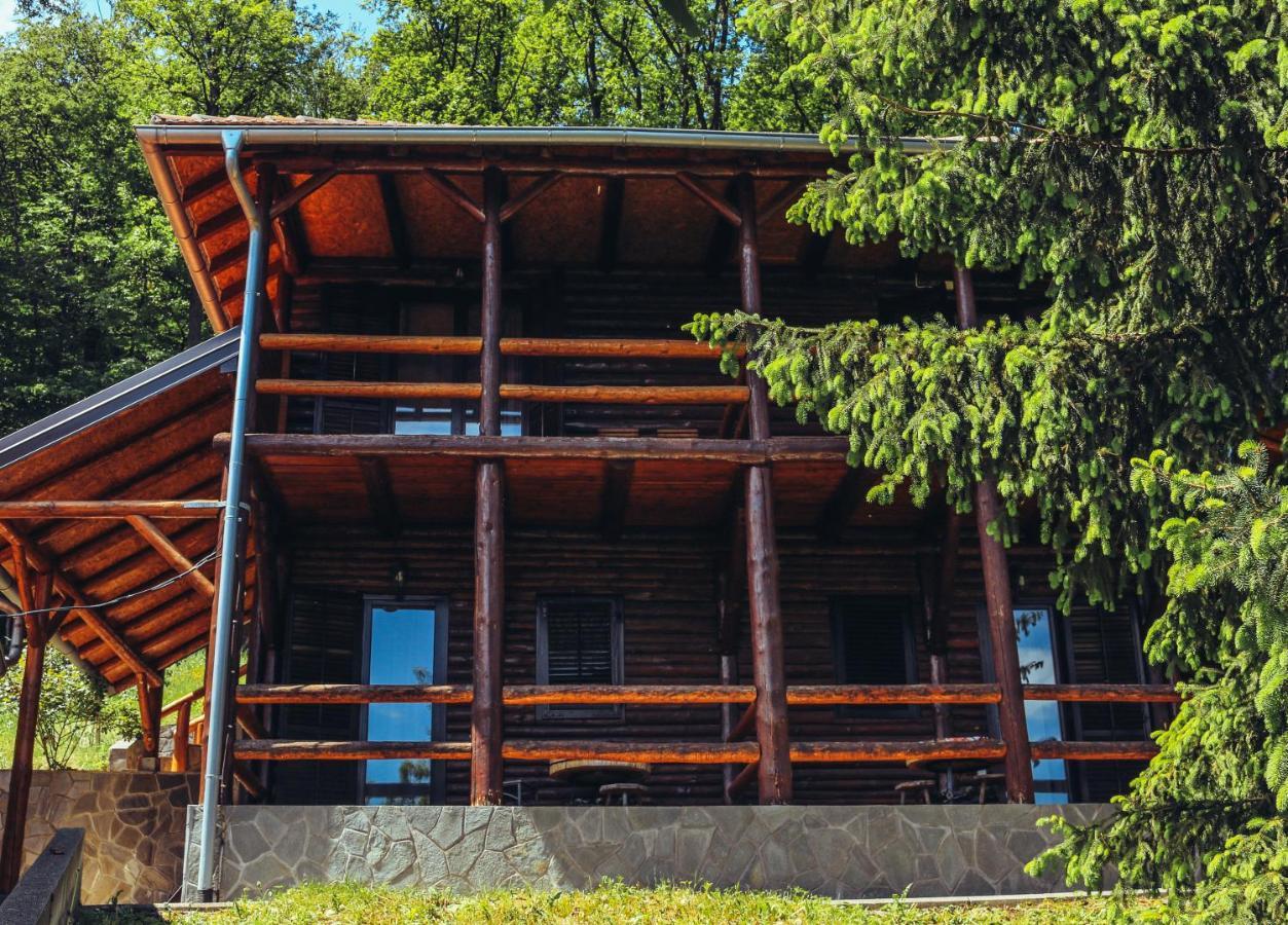 Vila Etno Domacinstvo Milenkovic Despotovac Exteriér fotografie