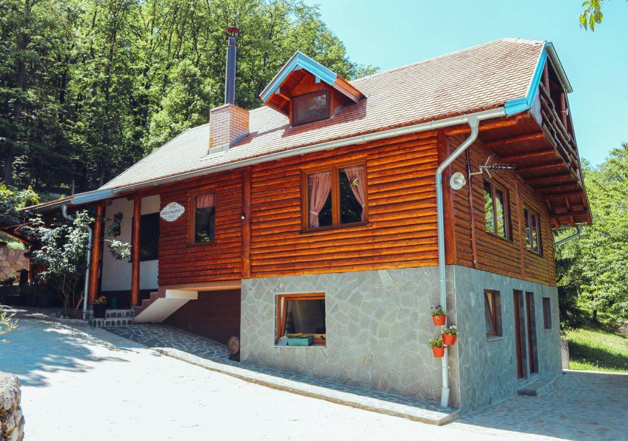 Vila Etno Domacinstvo Milenkovic Despotovac Exteriér fotografie
