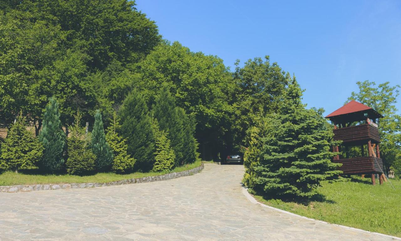Vila Etno Domacinstvo Milenkovic Despotovac Exteriér fotografie