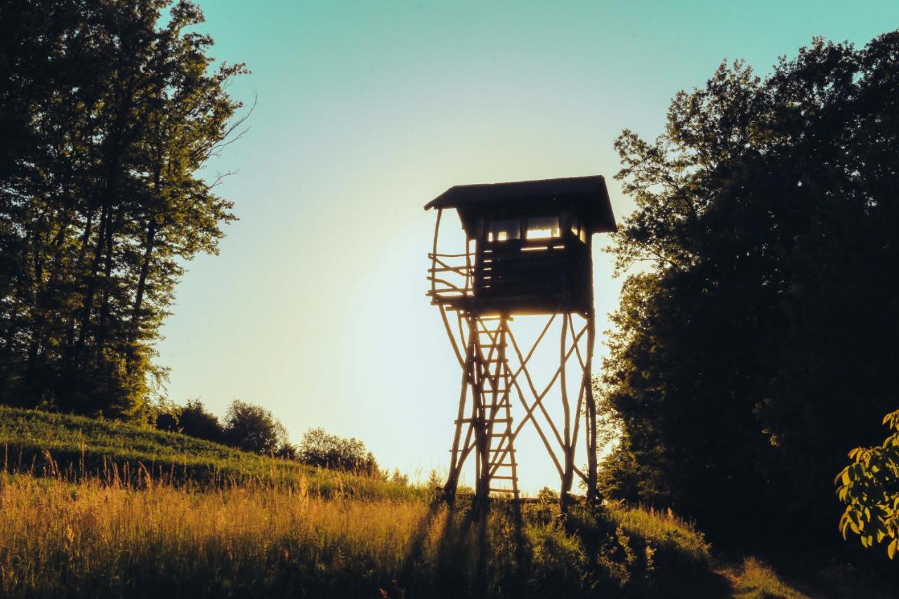 Vila Etno Domacinstvo Milenkovic Despotovac Exteriér fotografie