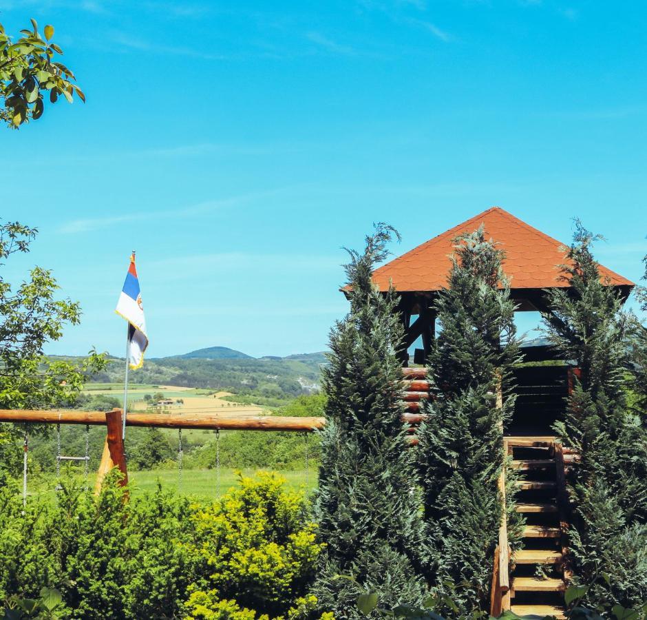 Vila Etno Domacinstvo Milenkovic Despotovac Exteriér fotografie