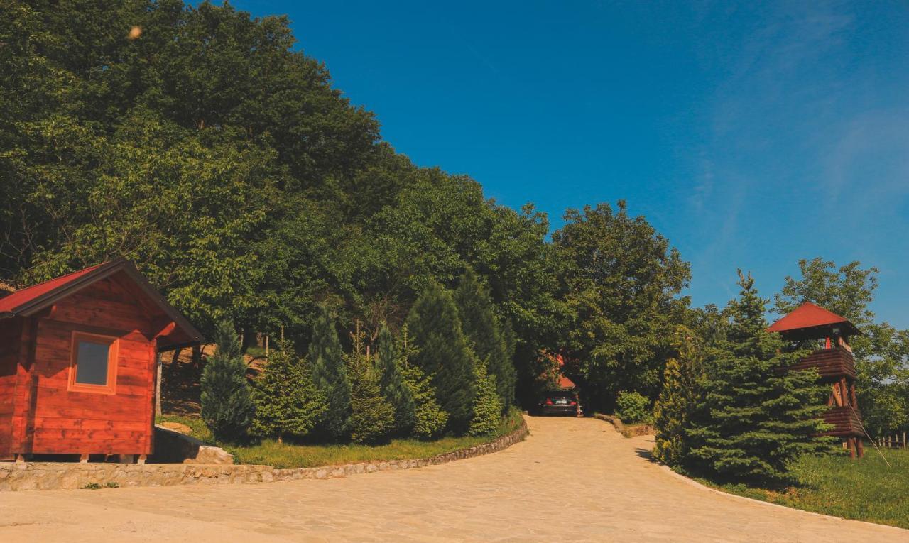 Vila Etno Domacinstvo Milenkovic Despotovac Exteriér fotografie