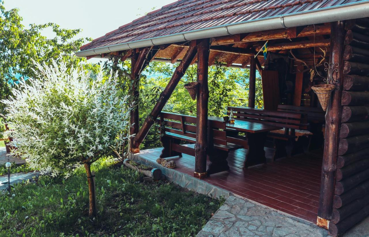 Vila Etno Domacinstvo Milenkovic Despotovac Exteriér fotografie