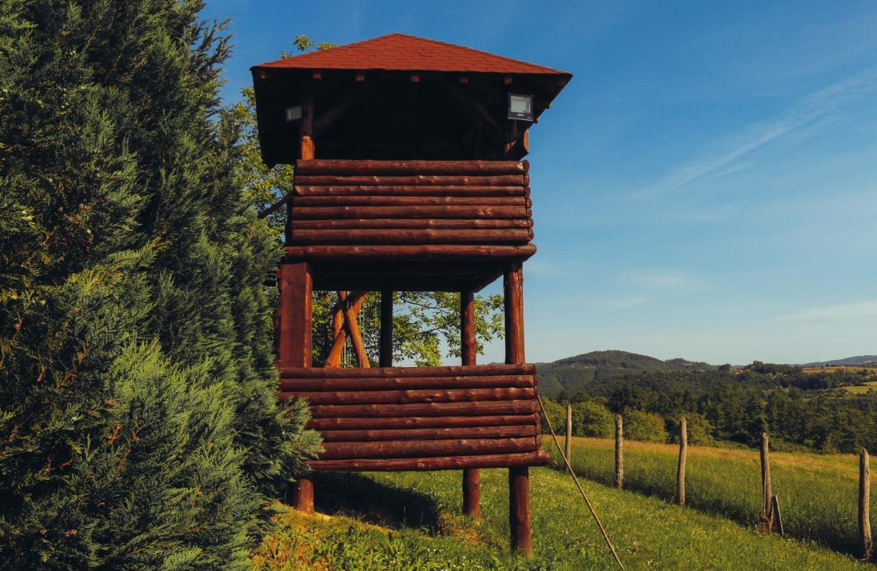 Vila Etno Domacinstvo Milenkovic Despotovac Exteriér fotografie