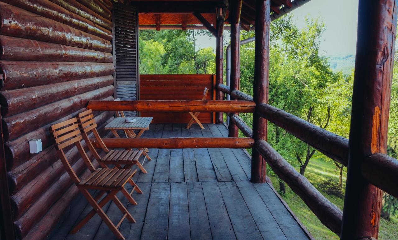 Vila Etno Domacinstvo Milenkovic Despotovac Exteriér fotografie