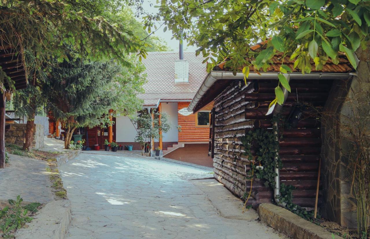 Vila Etno Domacinstvo Milenkovic Despotovac Exteriér fotografie