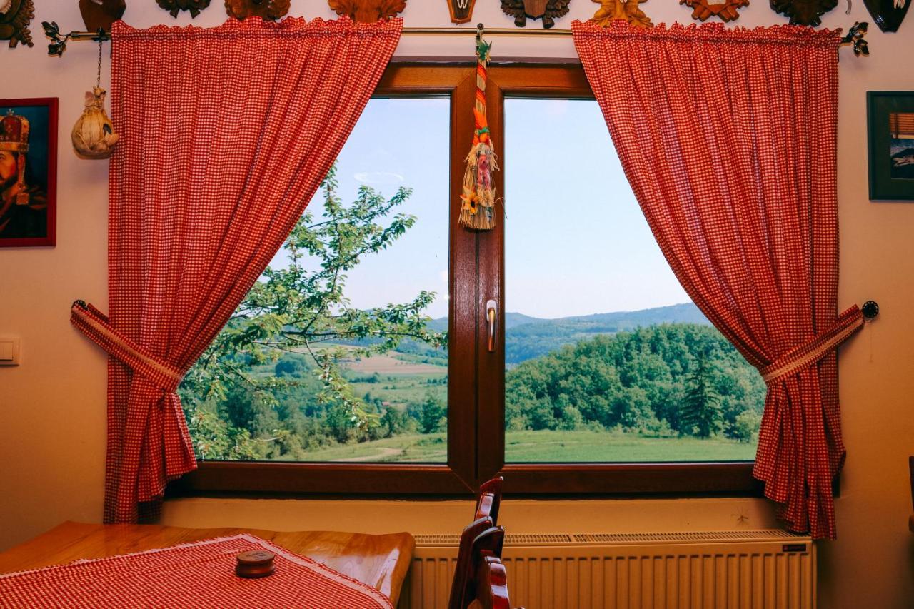Vila Etno Domacinstvo Milenkovic Despotovac Exteriér fotografie