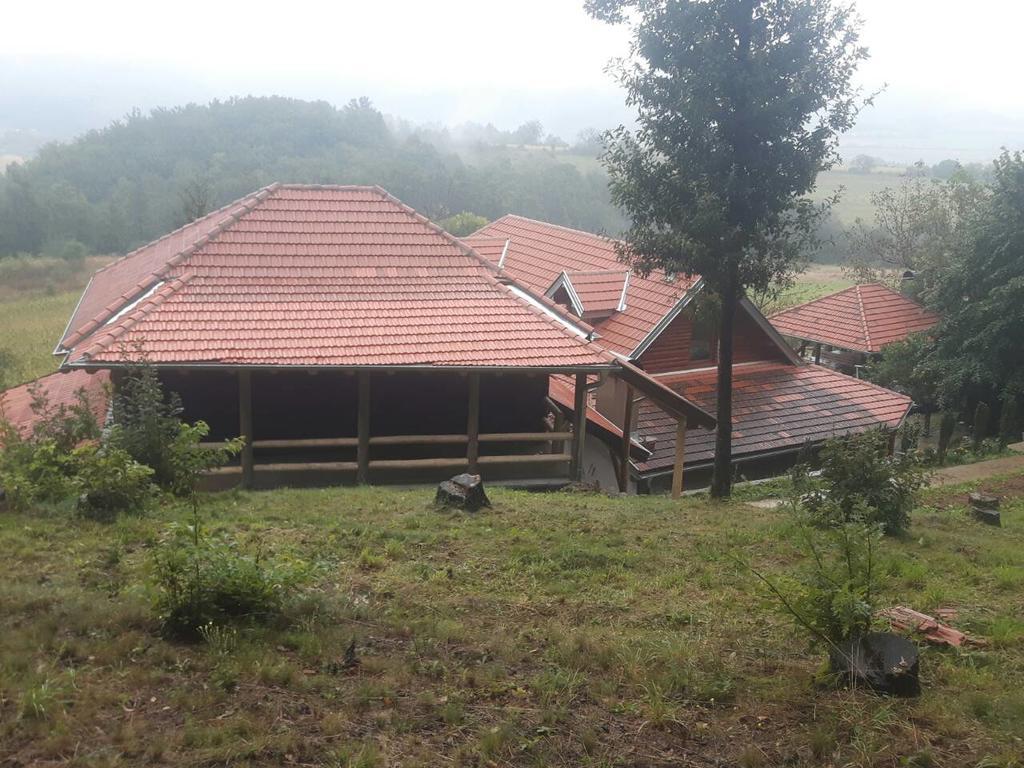 Vila Etno Domacinstvo Milenkovic Despotovac Exteriér fotografie
