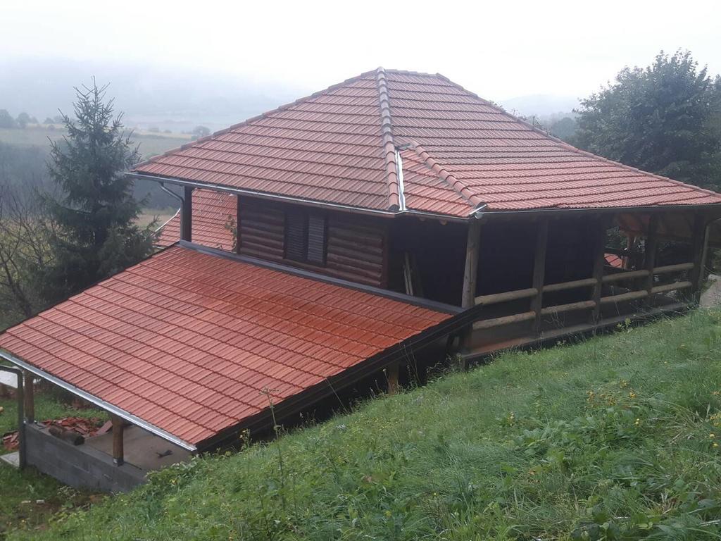 Vila Etno Domacinstvo Milenkovic Despotovac Exteriér fotografie