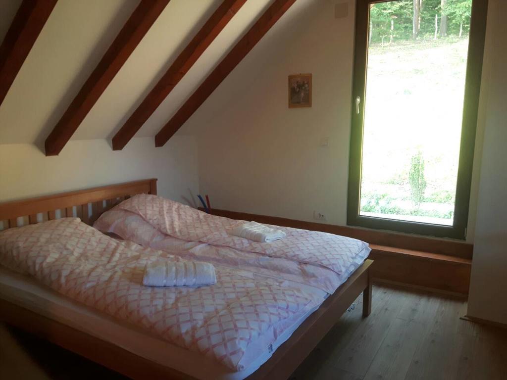 Vila Etno Domacinstvo Milenkovic Despotovac Exteriér fotografie