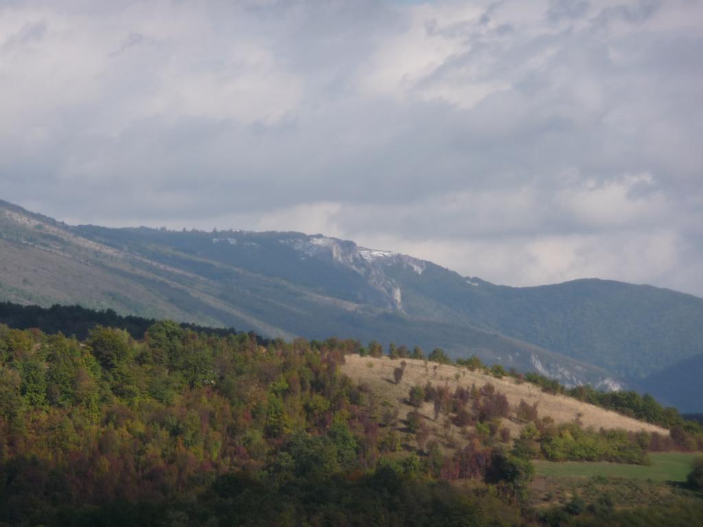Vila Etno Domacinstvo Milenkovic Despotovac Exteriér fotografie