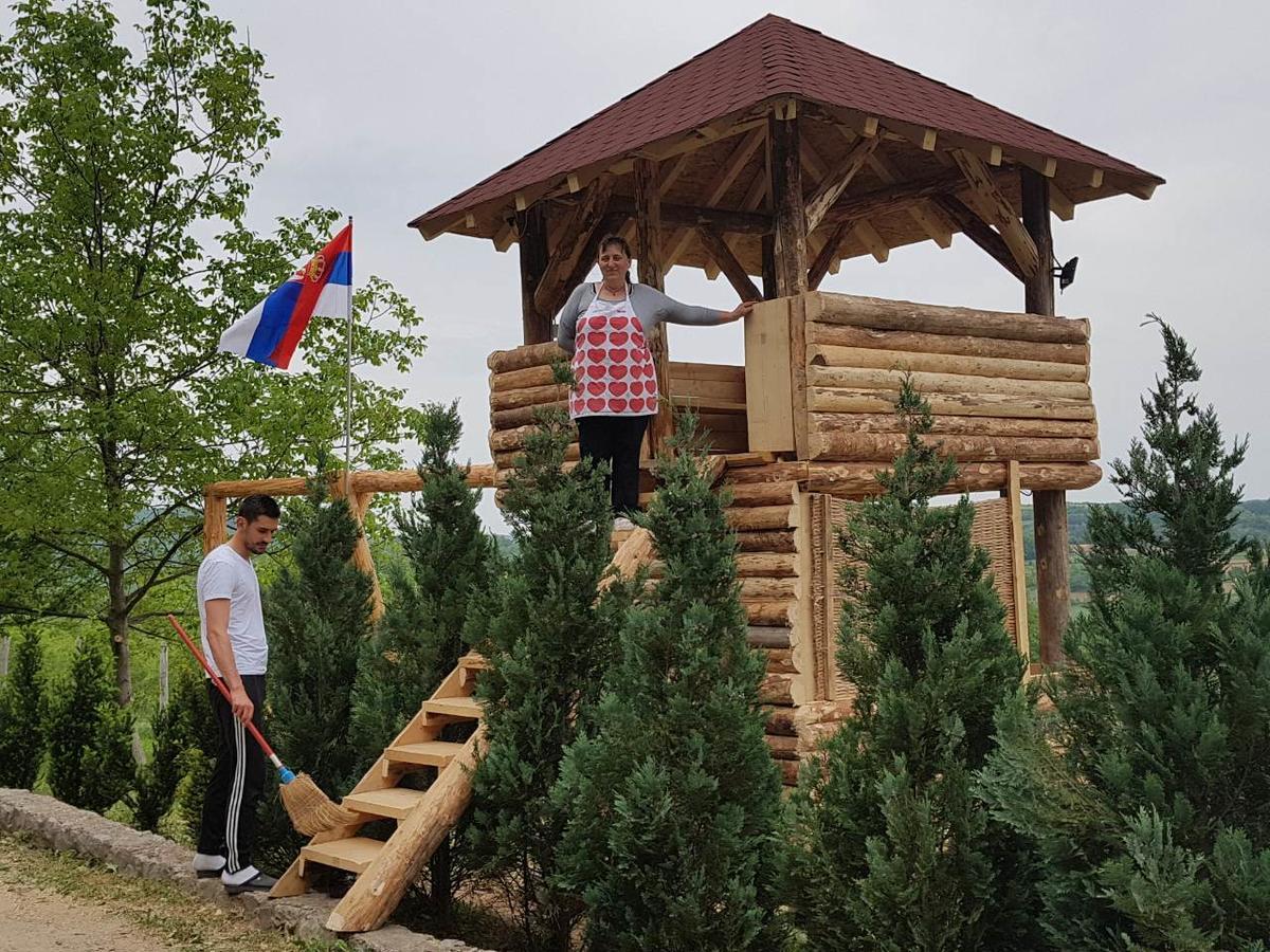 Vila Etno Domacinstvo Milenkovic Despotovac Exteriér fotografie