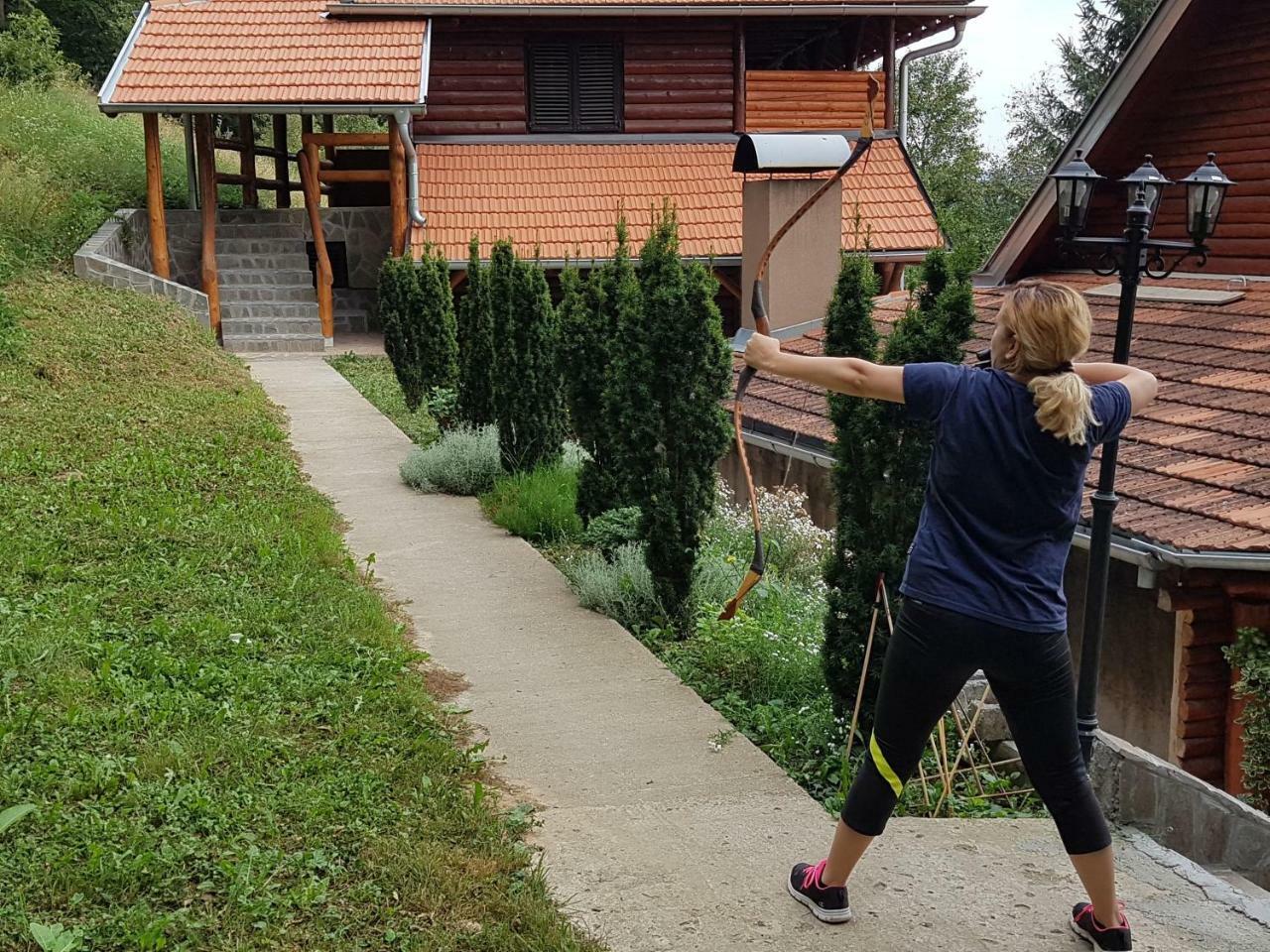 Vila Etno Domacinstvo Milenkovic Despotovac Exteriér fotografie